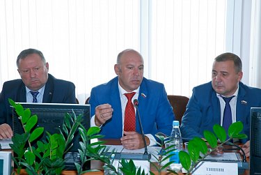 Институт народных дружин состоялся