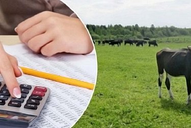 Сельхозпроизводителей освободят от налога на имущество