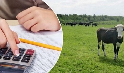 Сельхозпроизводителей освободят от налога на имущество