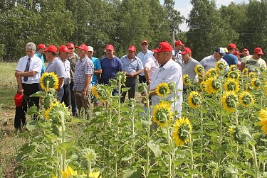 В Александровском районе прошло совещание аграриев
