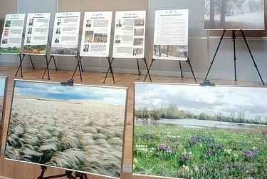 Дню охраны окружающей среды посвящается