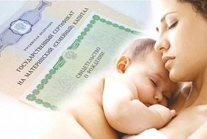 Фракция ЛДПР прорабатывает вопрос использования материнского капитала