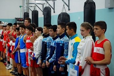 В Оренбурге проходит Всероссийский турнир по боксу 