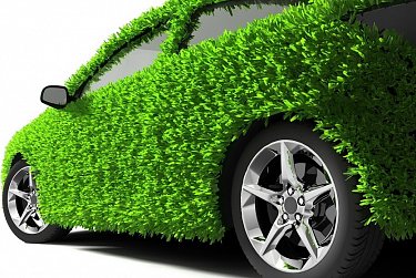 Аркадий Швецов: «Экосбор должен идти на решение экопроблем»