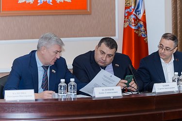 Куда направить дополнительные 8,8 млрд бюджетных рублей?
