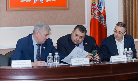 Куда направить дополнительные 8,8 млрд бюджетных рублей?