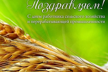 9 октября - День работника сельского хозяйства и перерабатывающей промышленности