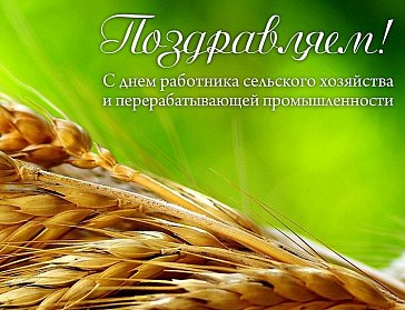 9 октября - День работника сельского хозяйства и перерабатывающей промышленности
