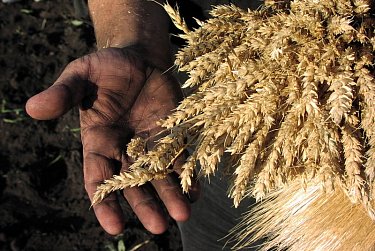 В Октябрьском районе прошел слет передовиков народного хозяйства 